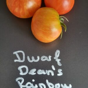 Dean’s Haley's Rainbow